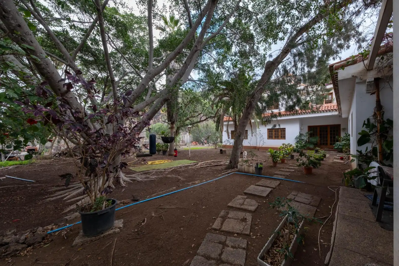 Casa o chalet en venta en Calle FUENTE MORALES, Almatriche