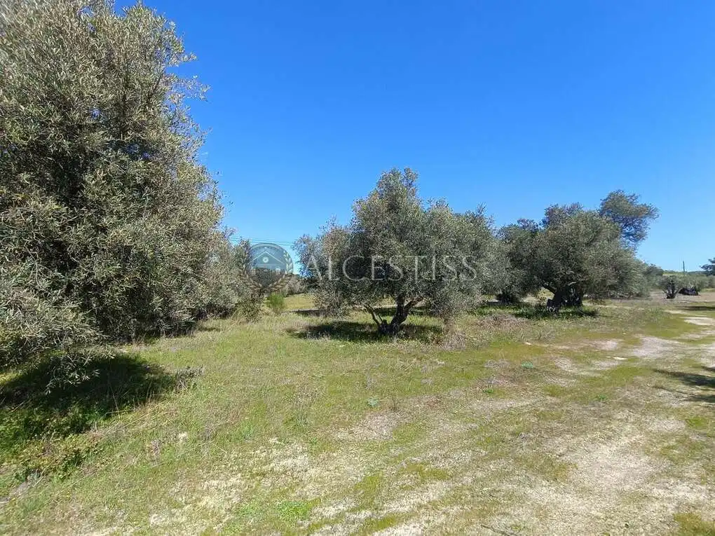 Terreno rústico en venta en Méntrida, imagen 4