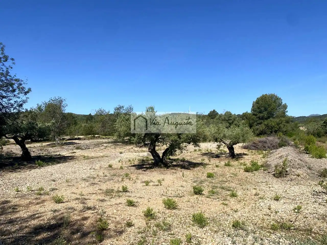 Terreno rustico in vendita a Rabasada, imagen 7