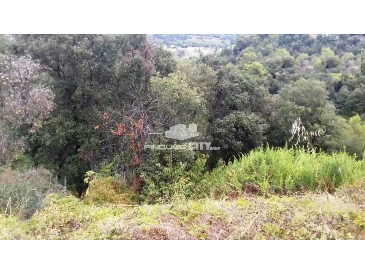 Terreno residencial en venta en Calle Sant Genís, imagen 3