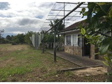 Terreni e lotti in vendita a Tomiño