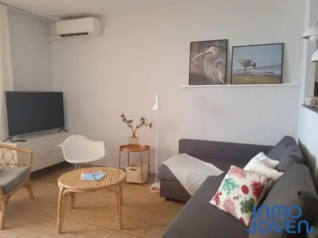 Apartments for rent in Carrer de Sorolla, Playa Muchavista
