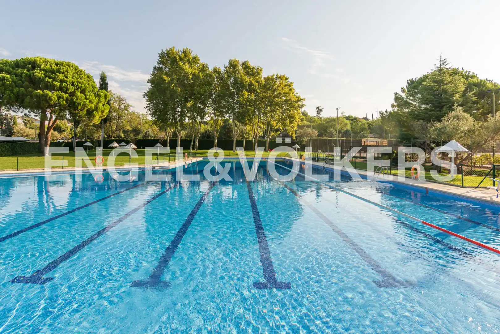 Piscina de Casa o chalet de alquiler en Las Rozas de Madrid con Aire acondicionado, Calefacción y Jardín privado