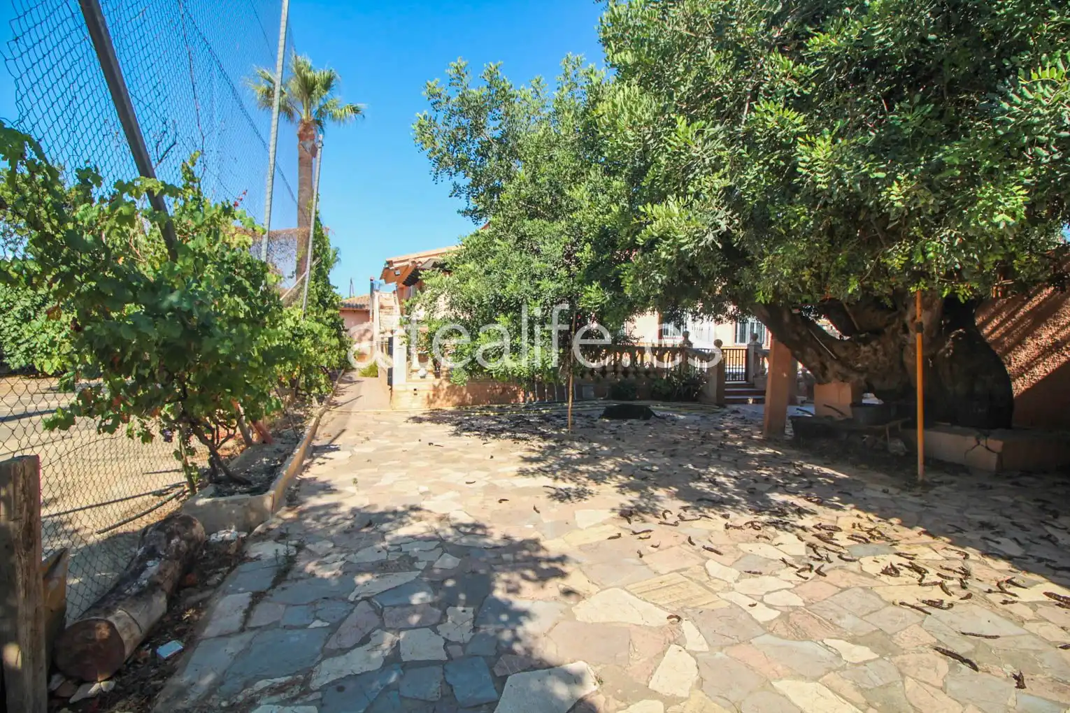 Vista exterior de Casa o chalet en venta en L'Alfàs del Pi con Aire acondicionado, Calefacción y Jardín privado