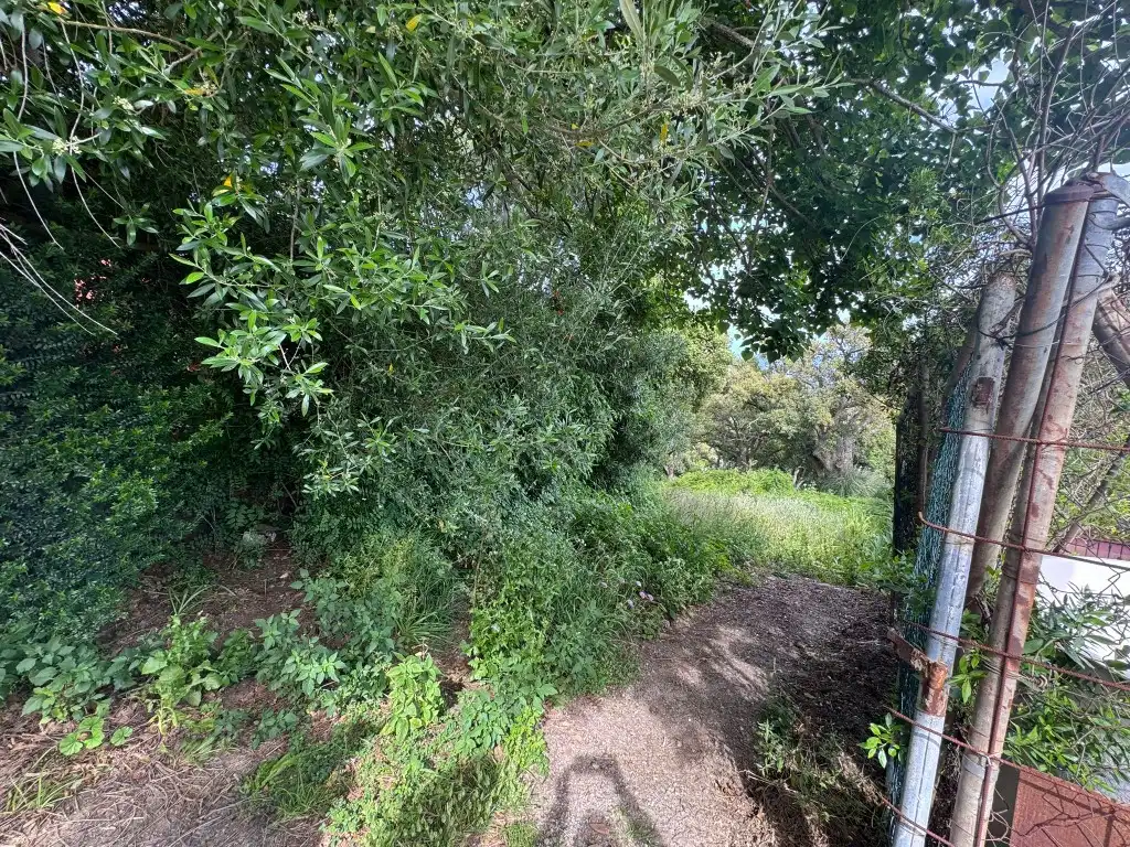 Terreno en venta en Algeciras