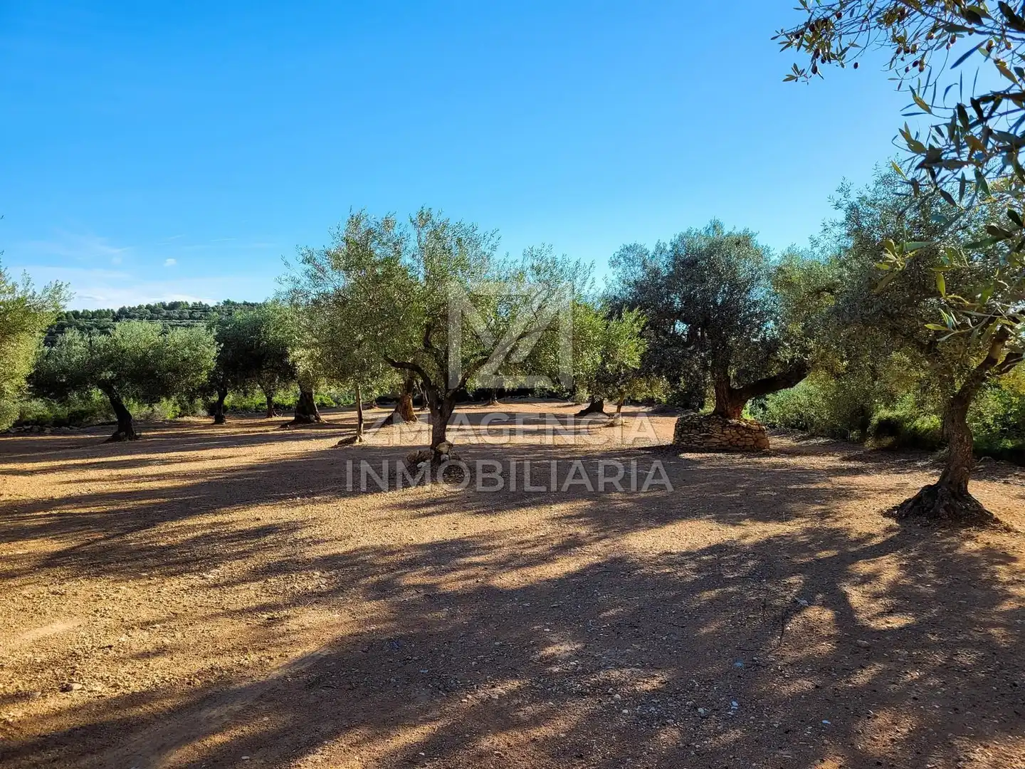 Casa rústica en venta en Traiguera, imagen 3