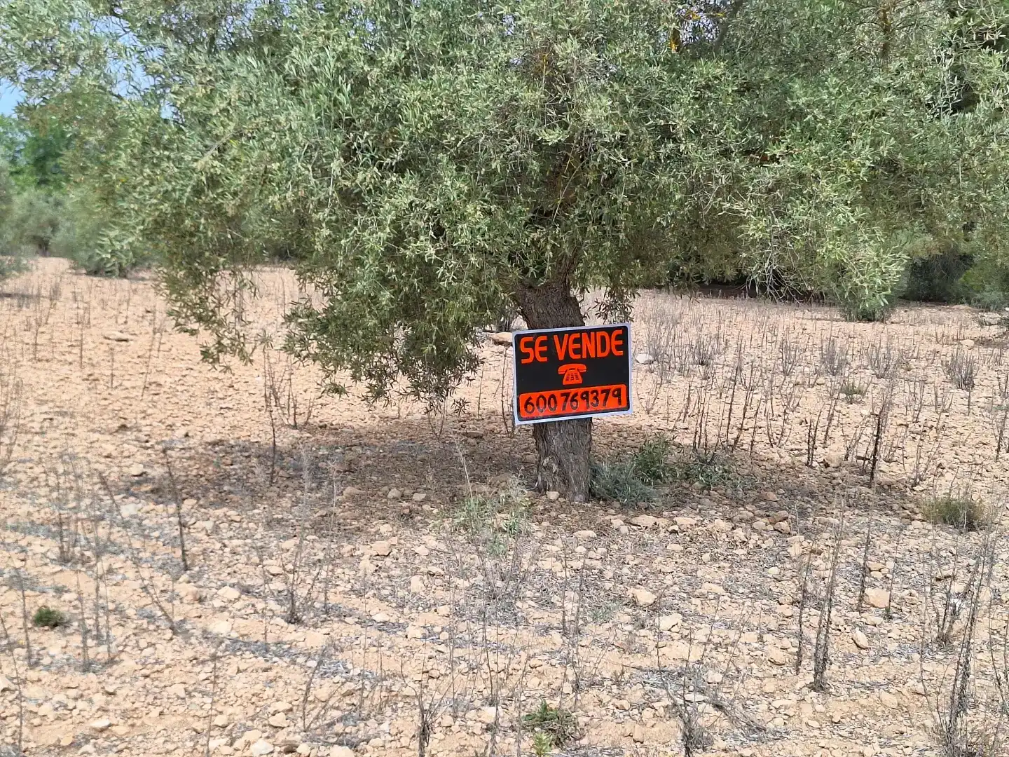 Finca rústica en venda en Beneixama