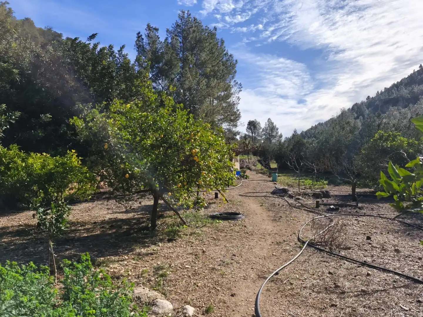 Casa con jardín en venta en Alfara de Carles, imagen 31