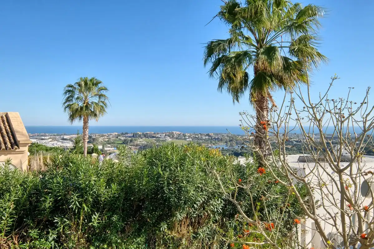 Vista exterior de Casa o chalet en venta en Benahavís con Jardín privado