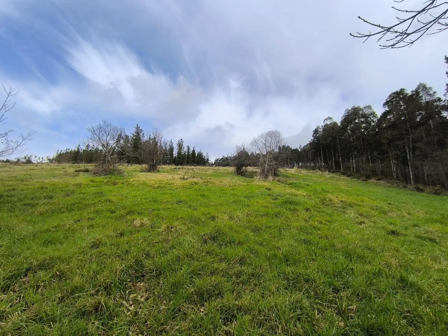 Casa o xalet en venda en Palas de Rei amb Jardí privat