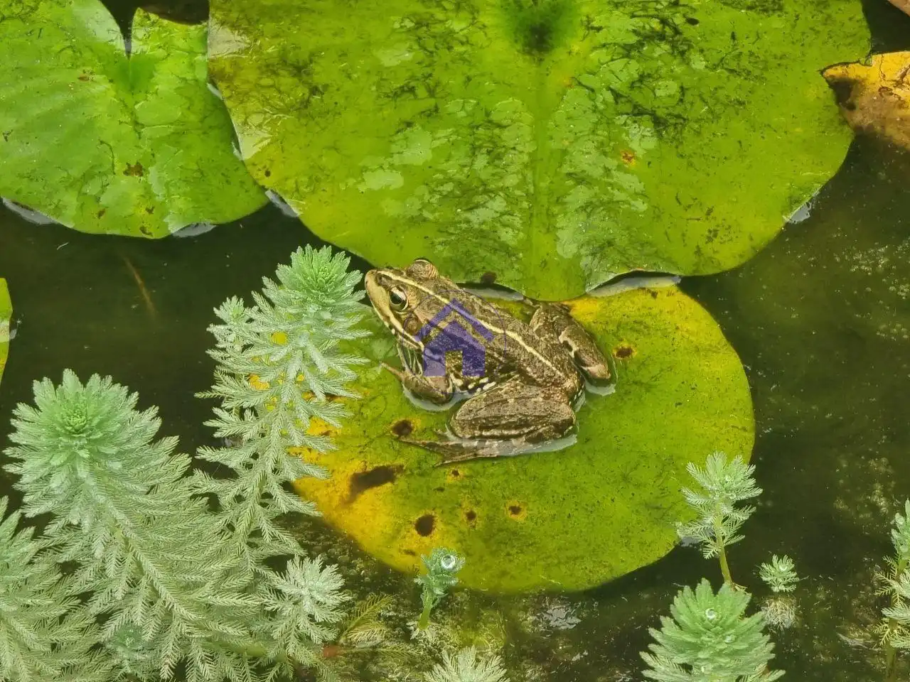 Jardí de Casa o xalet en venda en Gondomar amb Calefacció, Jardí privat i Moblat