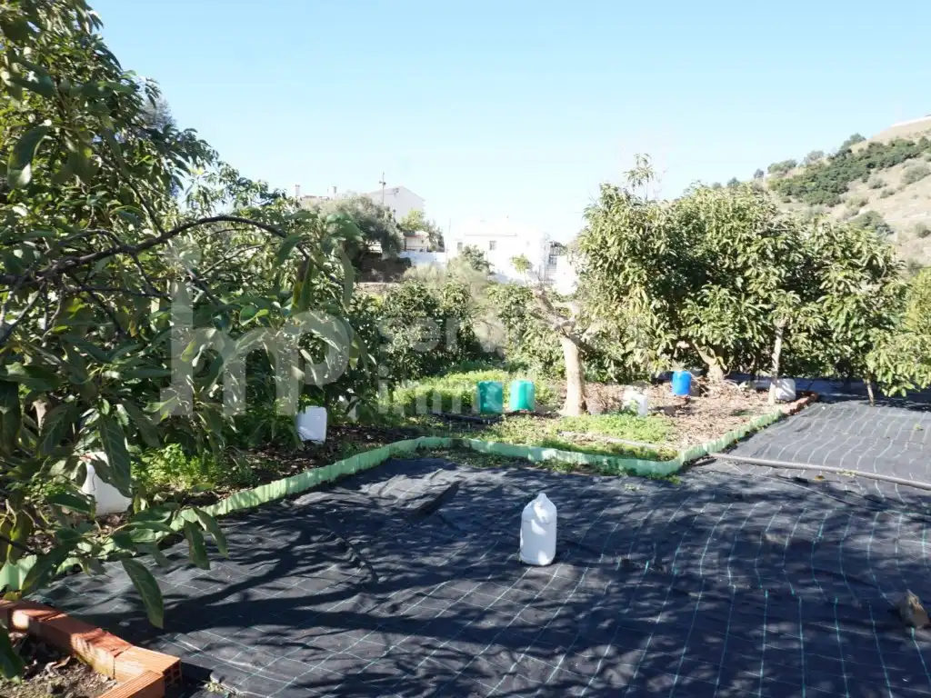 Casa o chalet en venta en Canillas de Aceituno