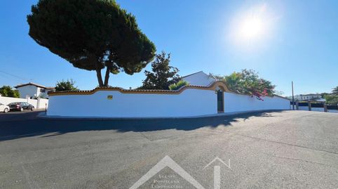 Foto 5 de Casa o chalet en venta en Castilblanco de los Arroyos, Sevilla