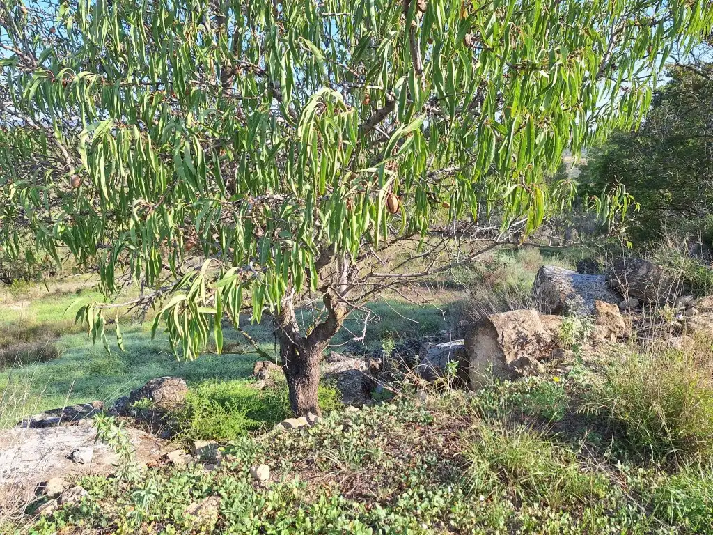 Country homes for sale in Bot  with Private garden and Terrace