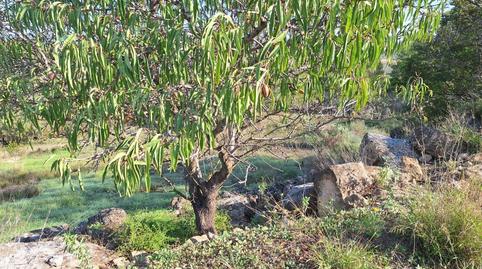 Photo 5 of Country house for sale in Bot, Tarragona