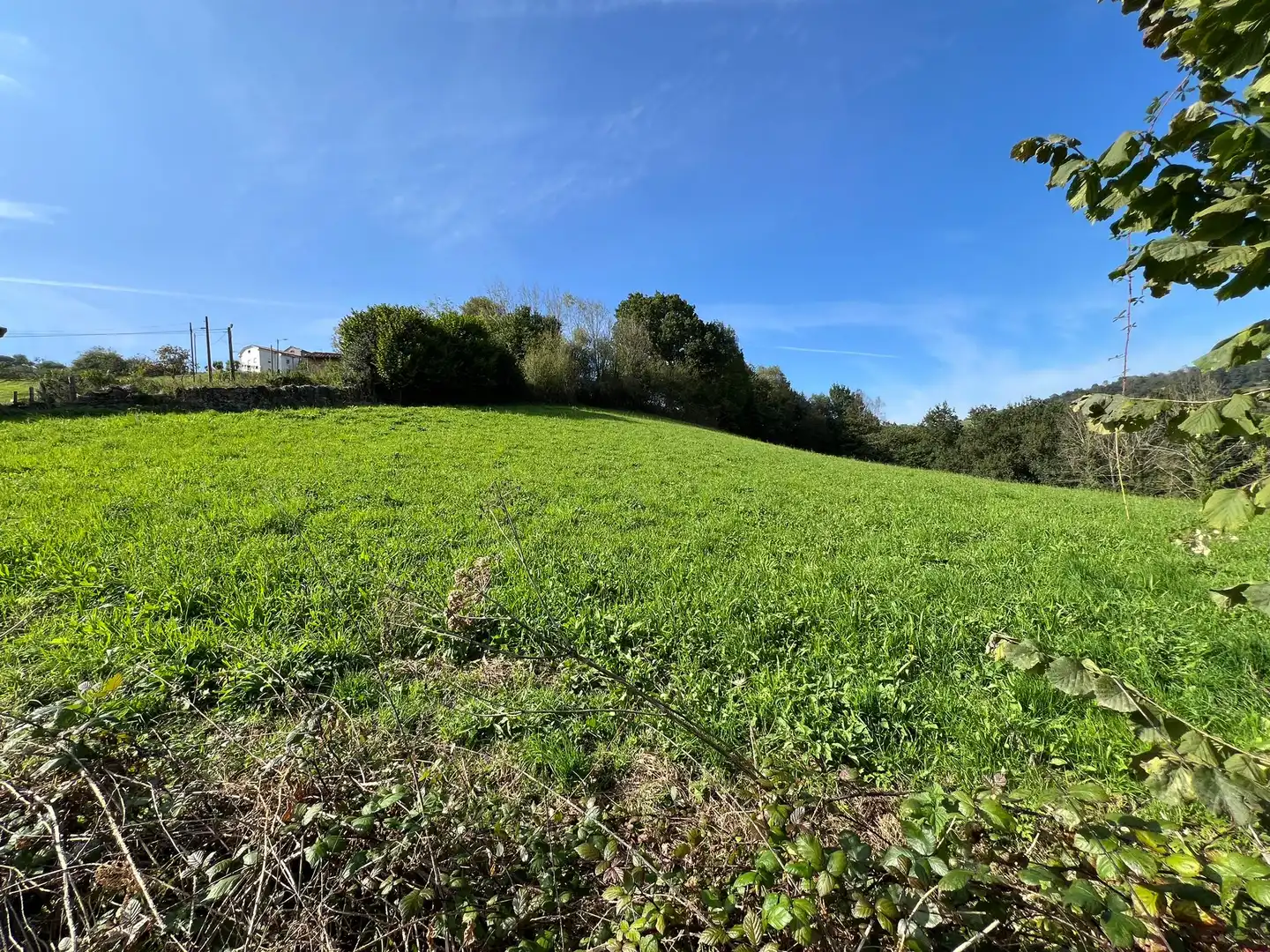Terreno rustico in vendita a Aldea las Cabañas 10, imagen 4