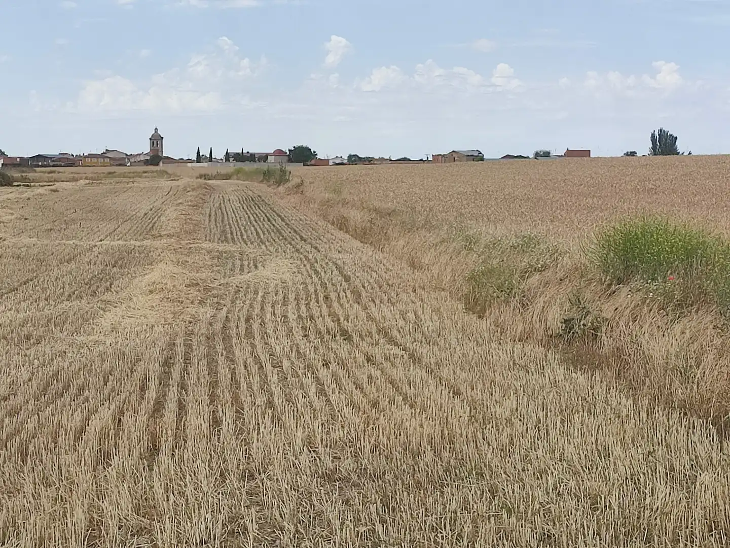 Terreno en venta en Nueva Villa de las Torres