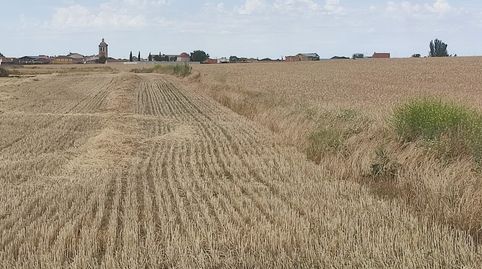Foto 5 von Grundstücke zum Verkauf in Calle Sendero Cristo, 3, Nueva Villa de las Torres, Valladolid