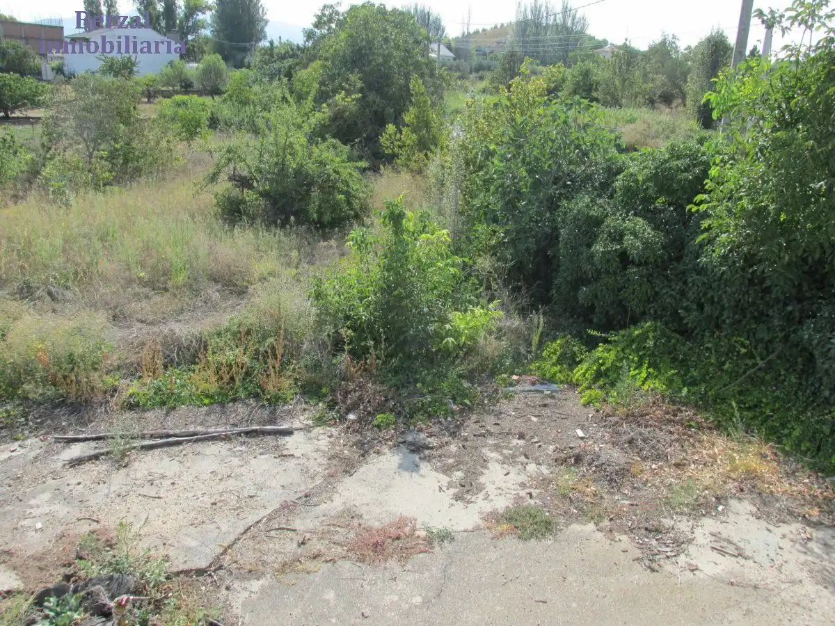 Terreno rústico en venta en Carretera Diseminado