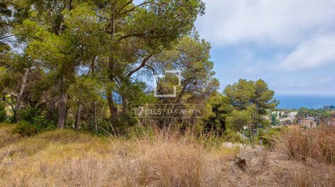 Foto 5 de Terreno en venta en Santa Cristina - Sant Francesc, Blanes