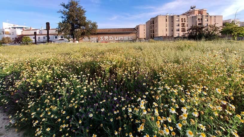 Exterior view of Residential for sale in Jerez de la Frontera