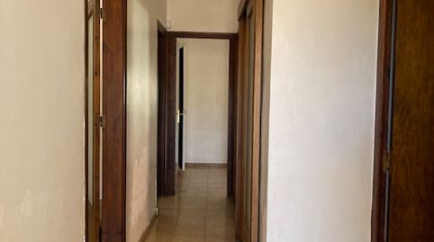 Foto 5 de Casa o xalet en venda a Regueral - Prat d'en Forés, Cambrils
