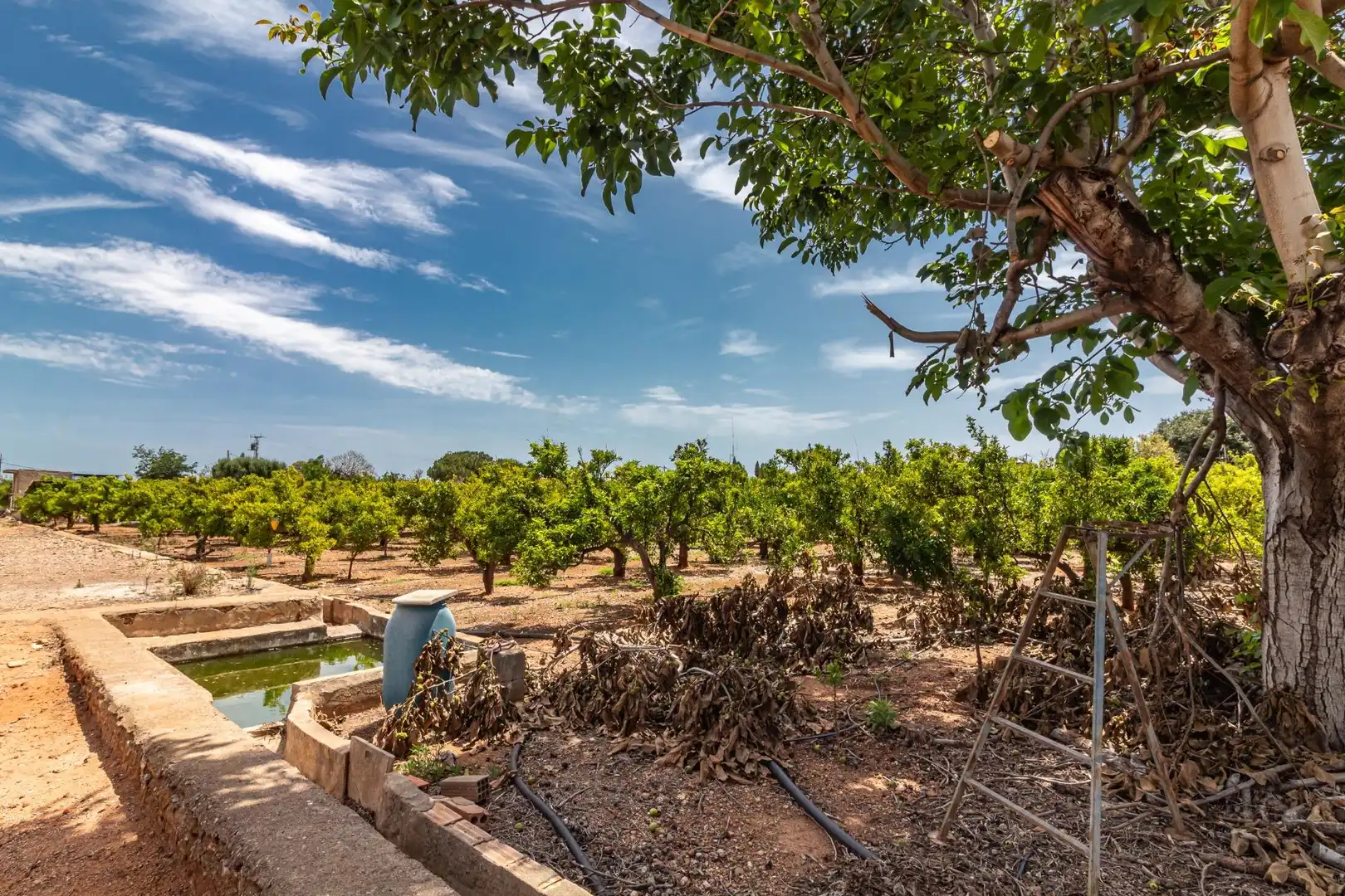 Rural land for sale in Polígono Polígono 4 Paraje 109 MADRIGAL 917, imagen 3
