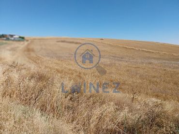 Terreni e lotti in vendita a Fuente Obejuna