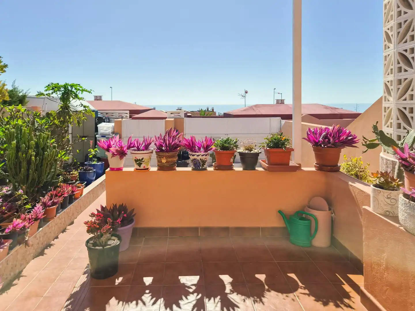 Terrasse von Einfamilien-Reihenhaus zum Verkauf in Antigua