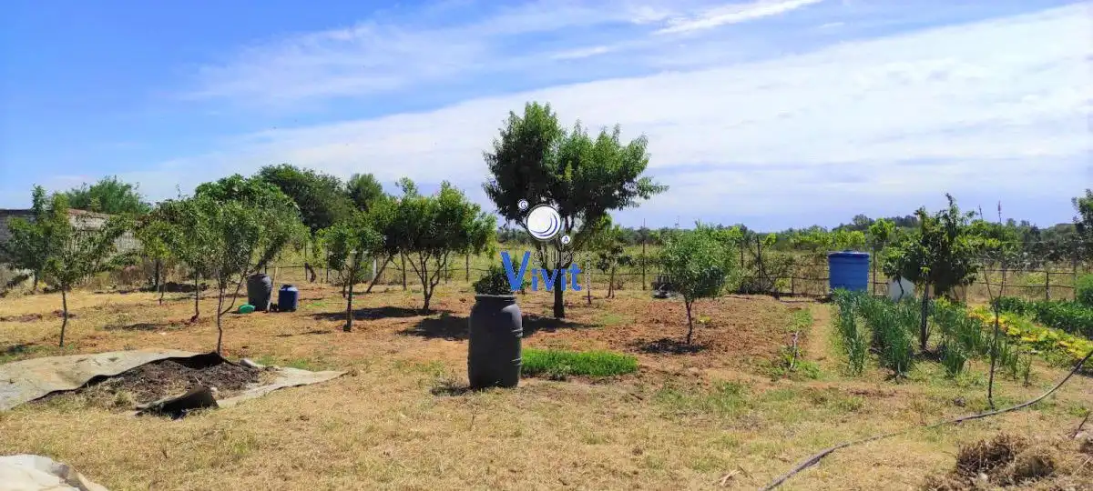 Terrenos y solares en venta en Pedanías Sur, imagen 3