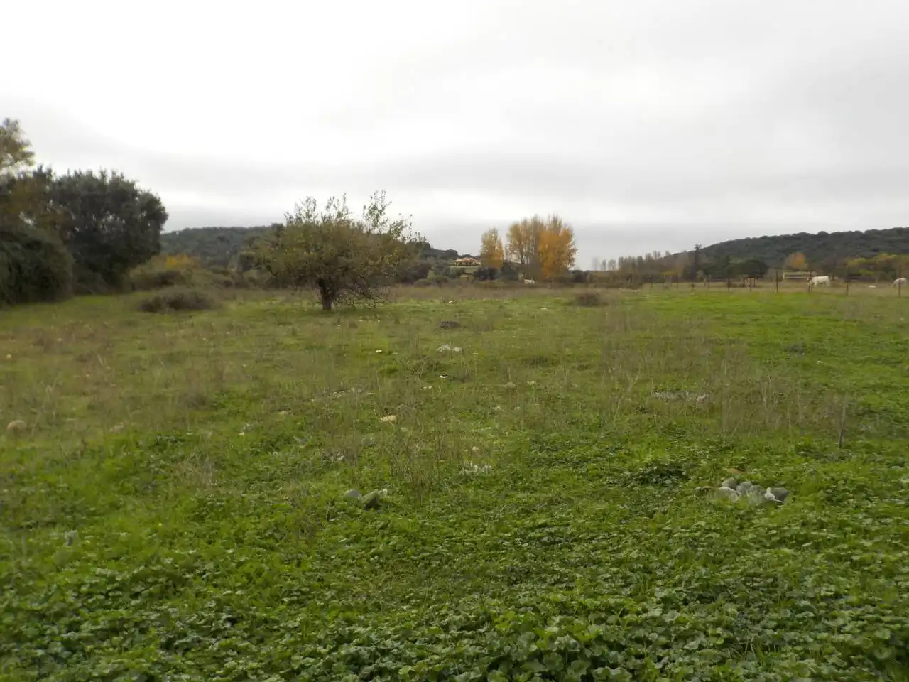 Terreno residenziale in vendita a Poligono 20, imagen 14