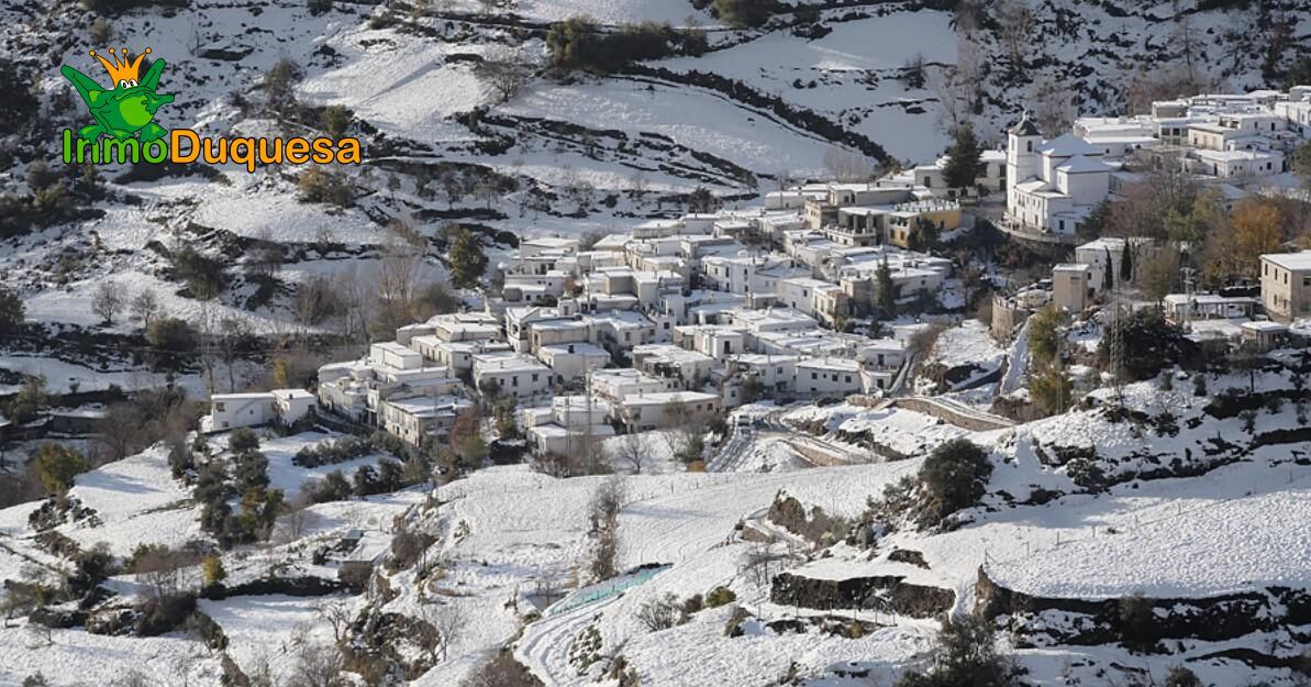 Exterior view of Building for sale in Busquístar