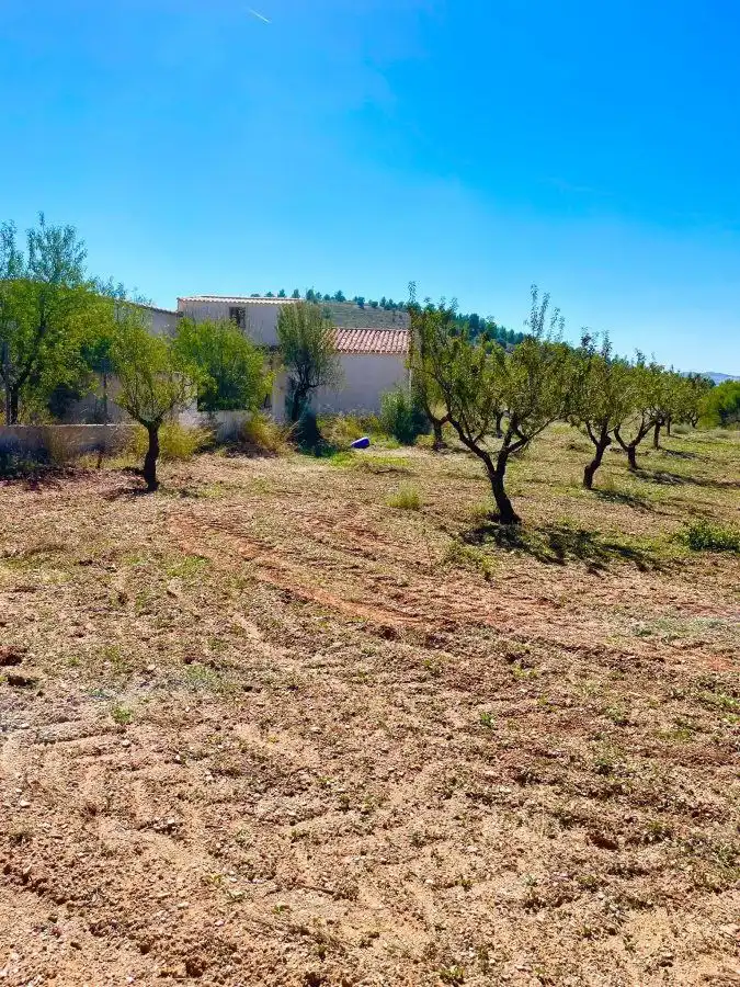 Residential land for sale in Vélez-Rubio, imagen 3