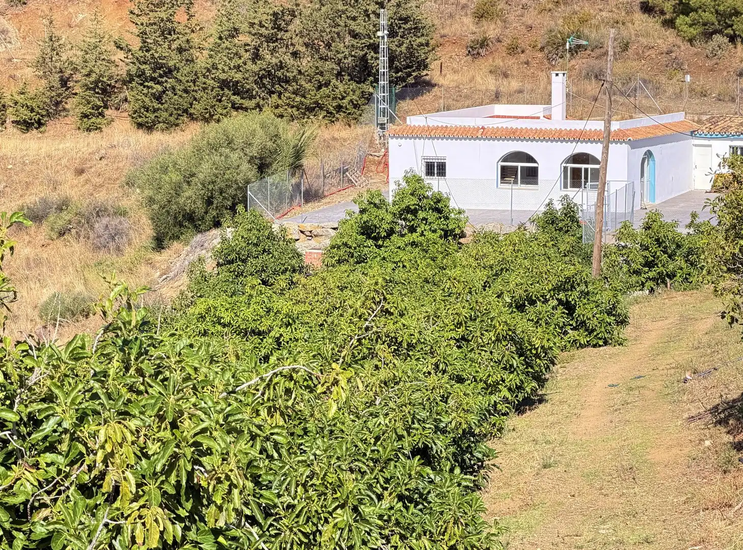 House with pool for sale in Avenida España, imagen 37