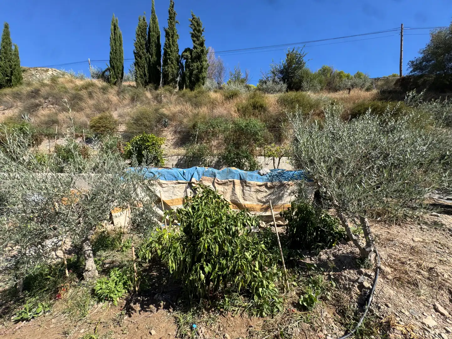 Villa con terrazza in vendita a Carretera de Murcia 13, imagen 16
