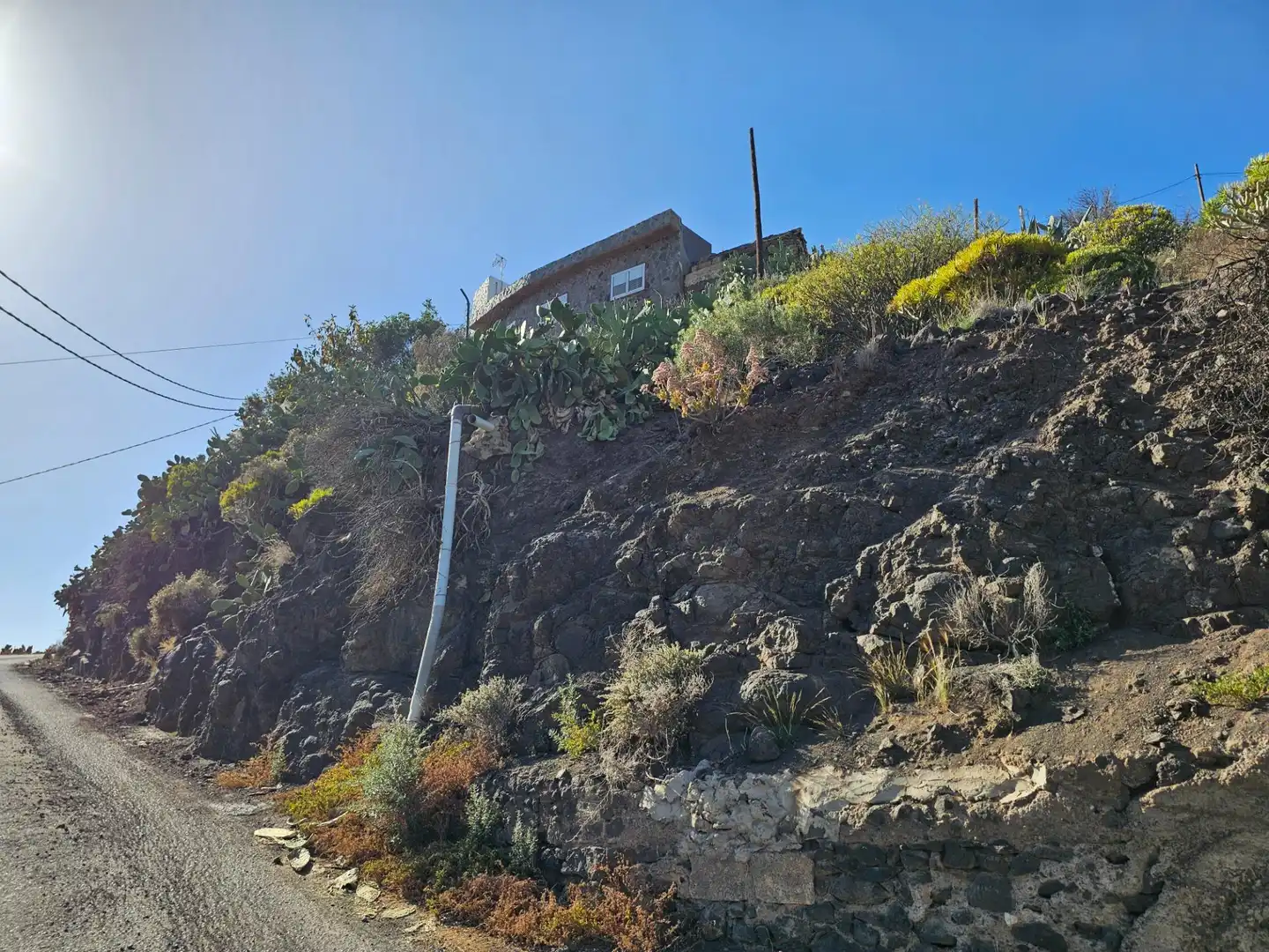 Vista exterior de Finca rústica en venta en Tejeda