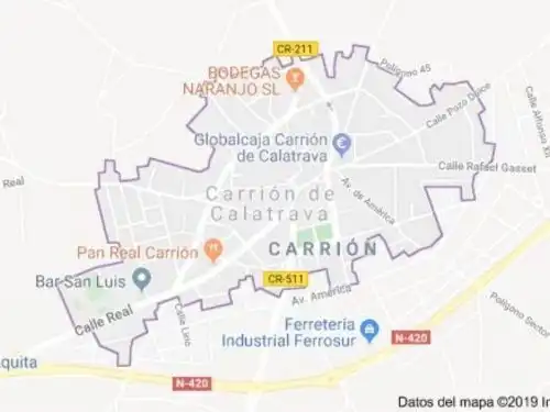 Terreno residencial en venta en Calle la Feria, imagen 8