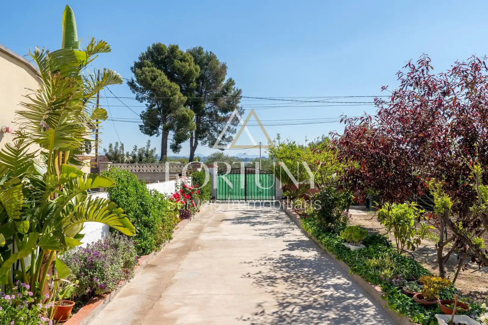 Vista exterior de Casa o xalet en venda en Alcover amb Aire condicionat, Jardí privat i Terrassa