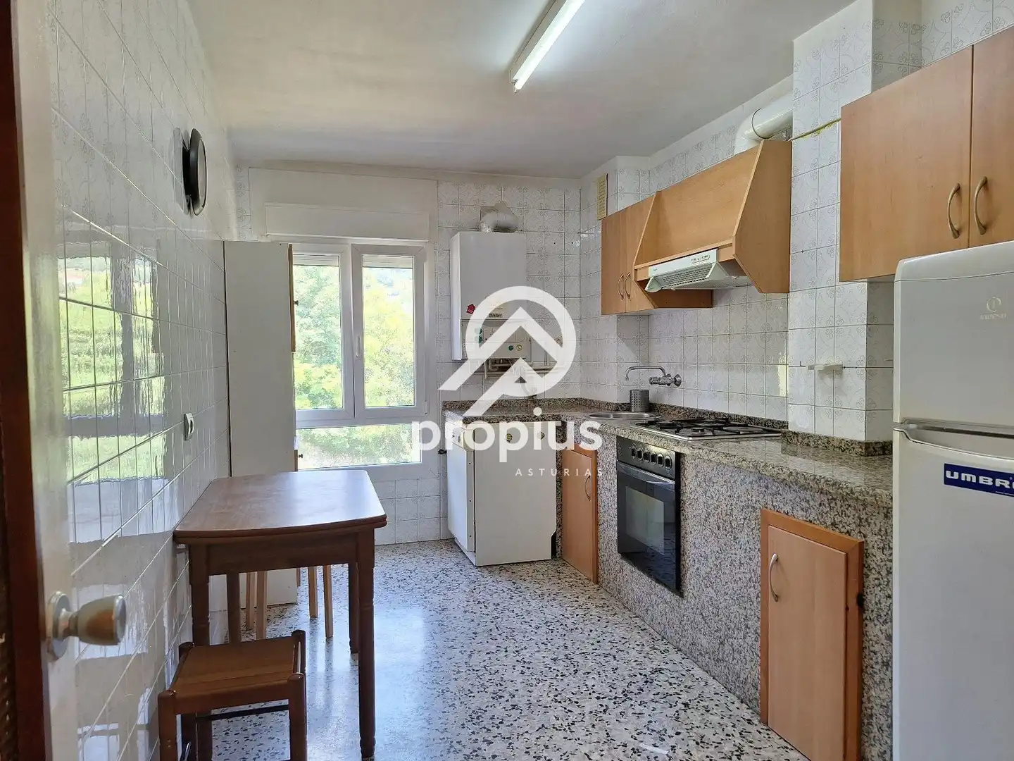 Kitchen of Flat for sale in Piloña  with Heating and Furnished