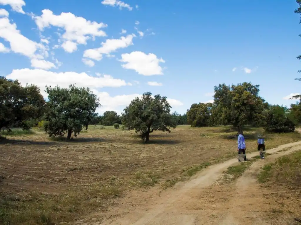 Finca rústica en venda en Navalcarnero