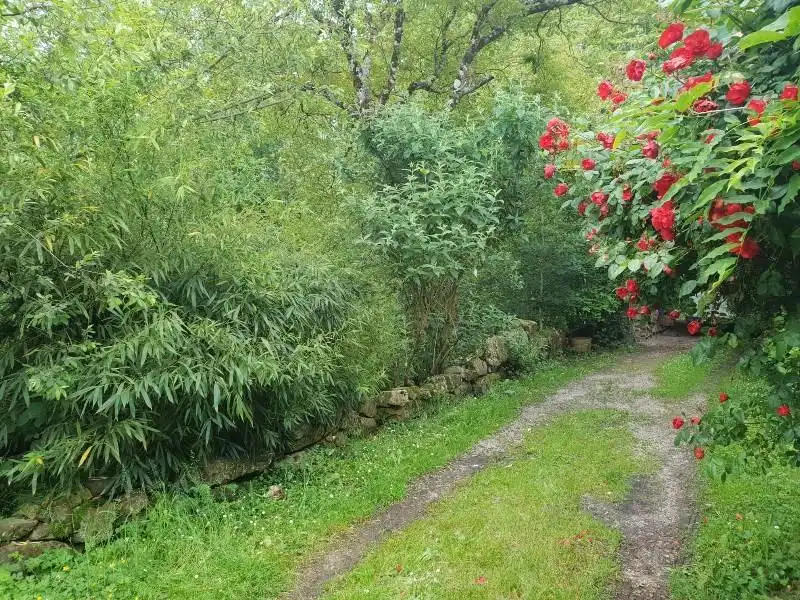 Jardín de Casa o chalet en venta en Los Tojos  con Calefacción y Jardín privado