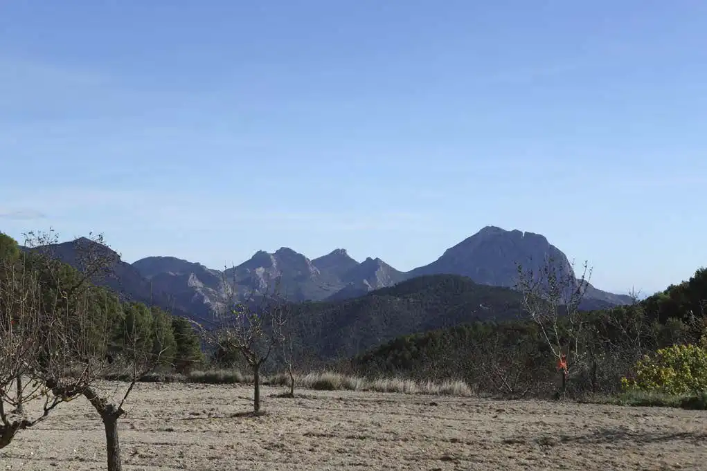 Casa rústica en venta en Torremanzanas / La Torre de les Maçanes, imagen 16