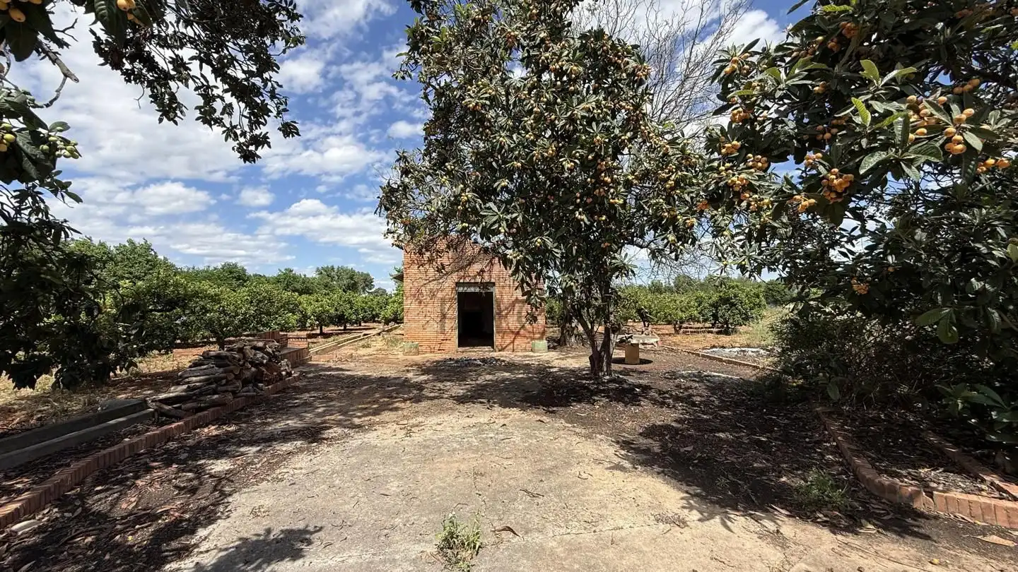 Land for sale in Rafelguaraf