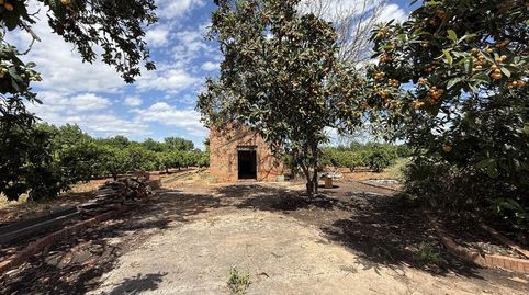 Photo 5 of Land for sale in Rafelguaraf, Valencia