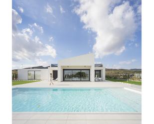 Vista exterior de Casa o xalet en venda en  Murcia Capital amb Aire condicionat, Jardí privat i Piscina