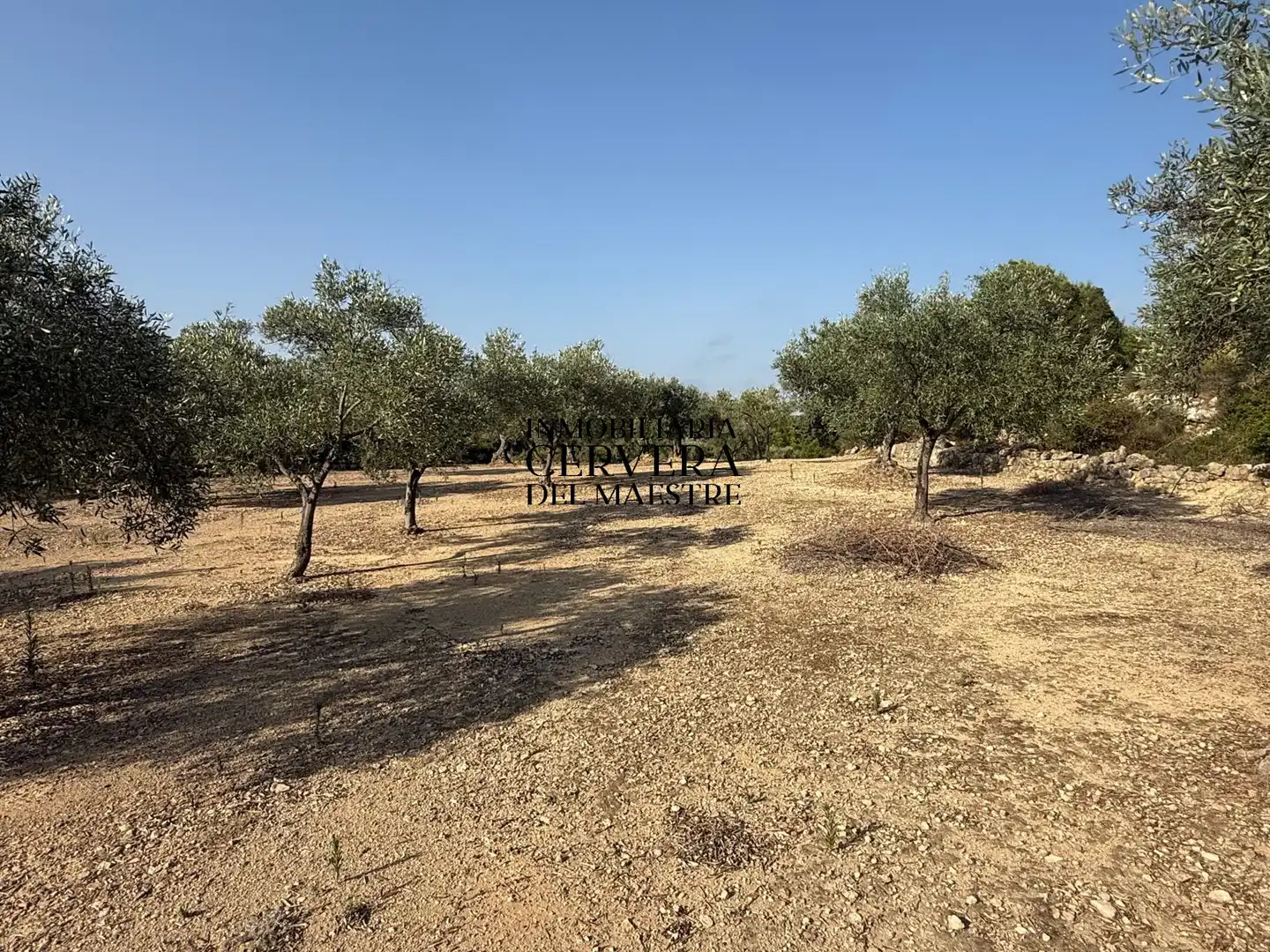 Terreno rustico in vendita a Cervera del Maestre