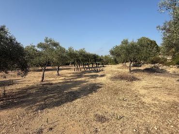 Terreno rústico en venta en Cervera del Maestre