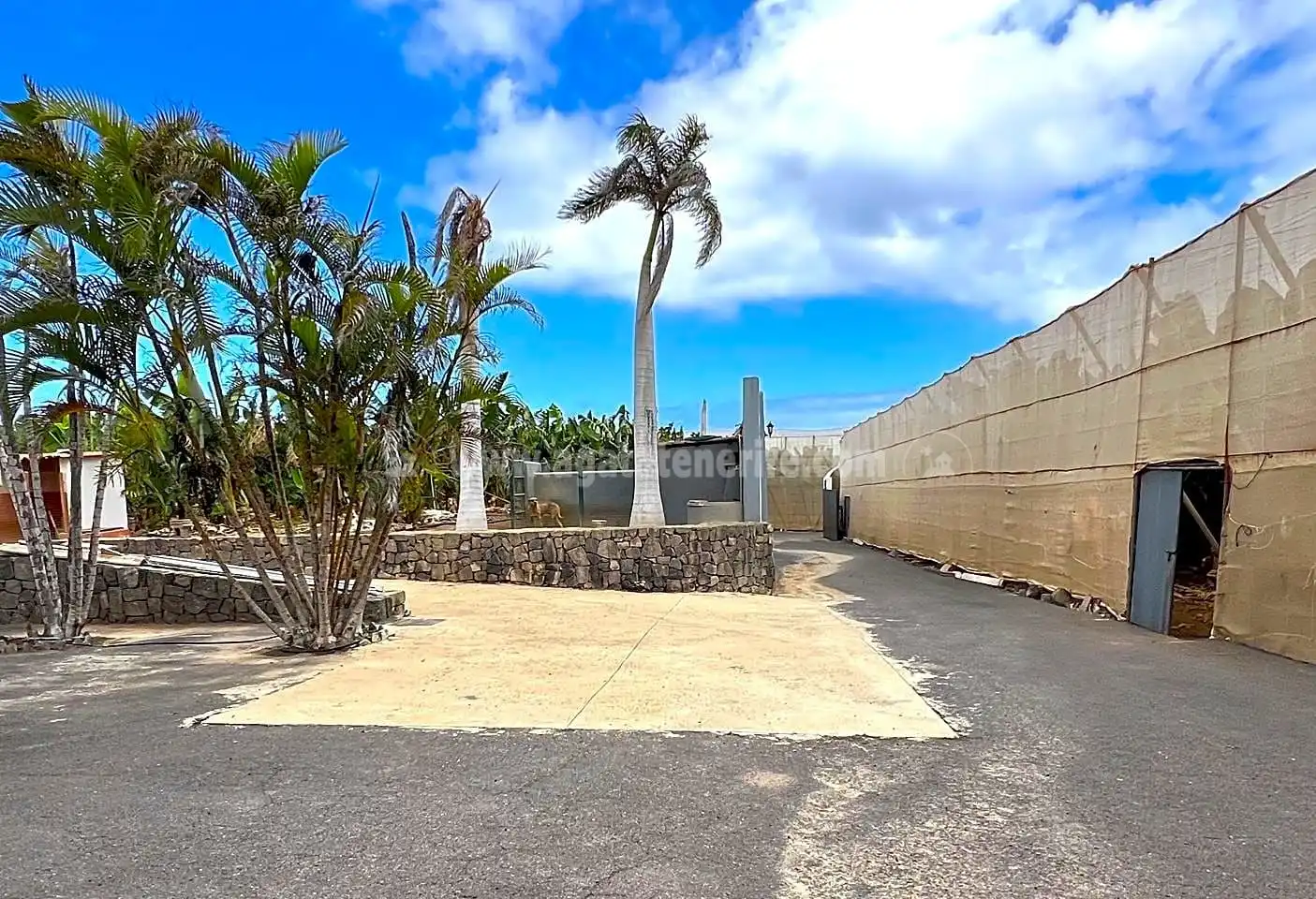 Vista exterior de Finca rústica en venta en Los Silos con Jardín privado y Terraza