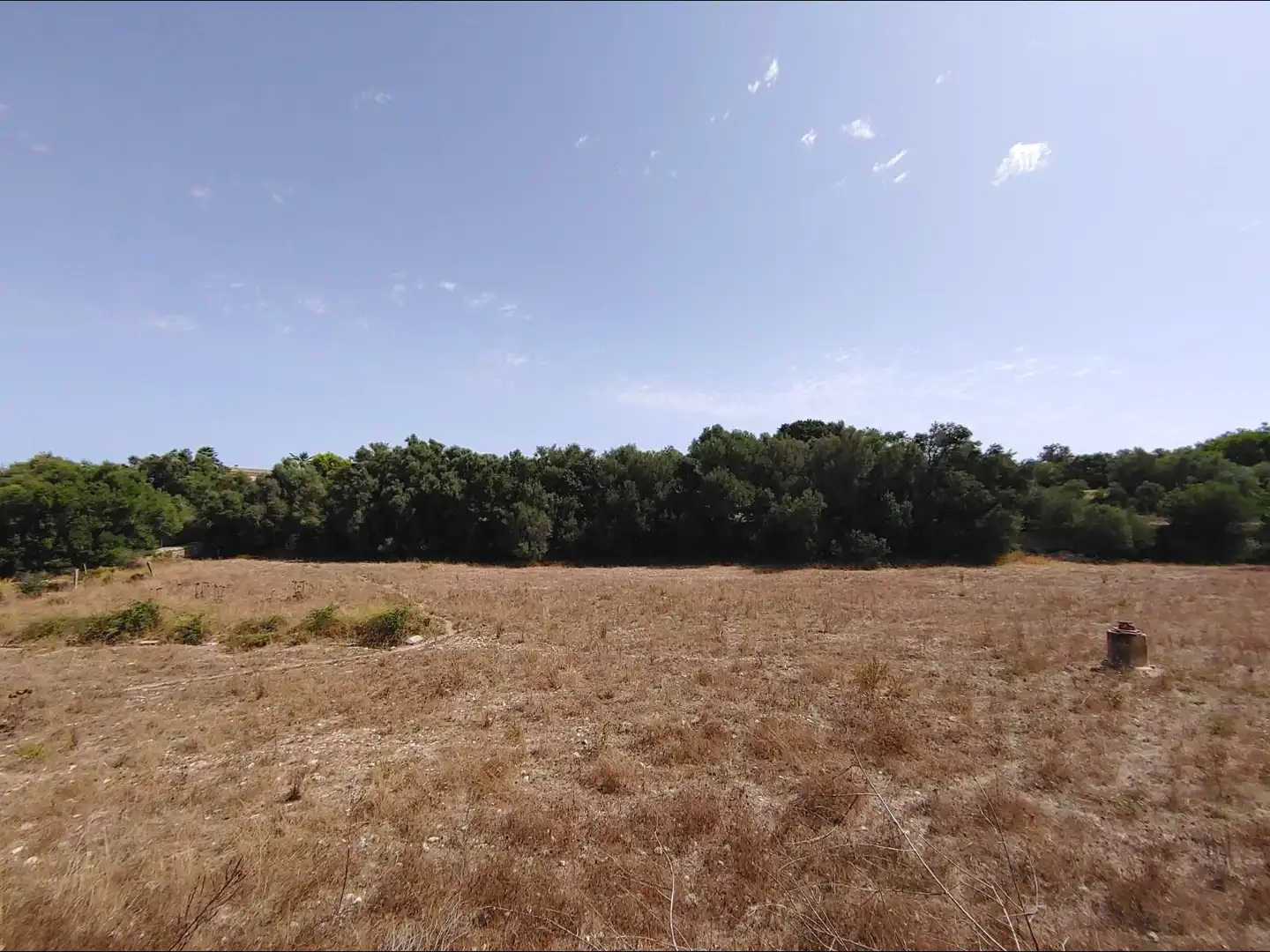 Country house with pool for sale in Algaida, imagen 39