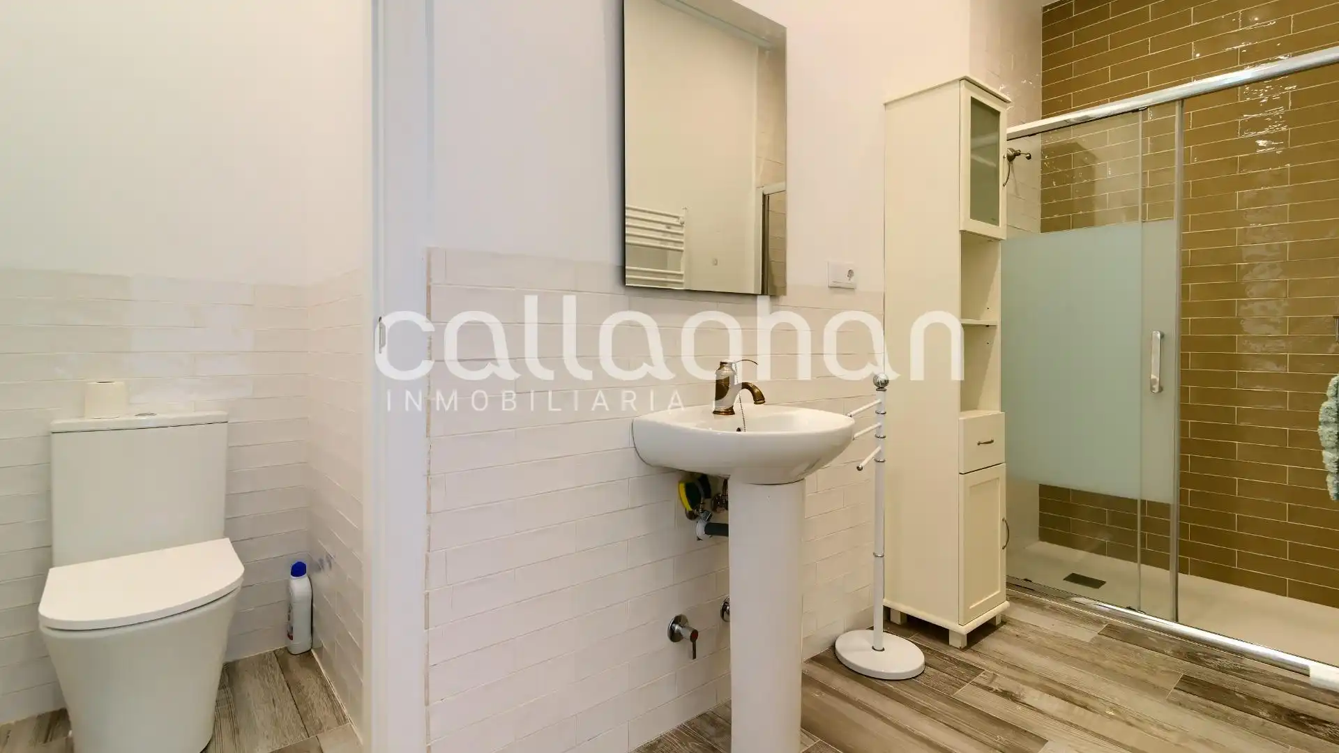 Baño de Casa o chalet en venta en Alzira con Calefacción, Jardín privado y Terraza